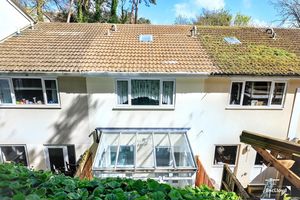 Photo 24- click for photo gallery